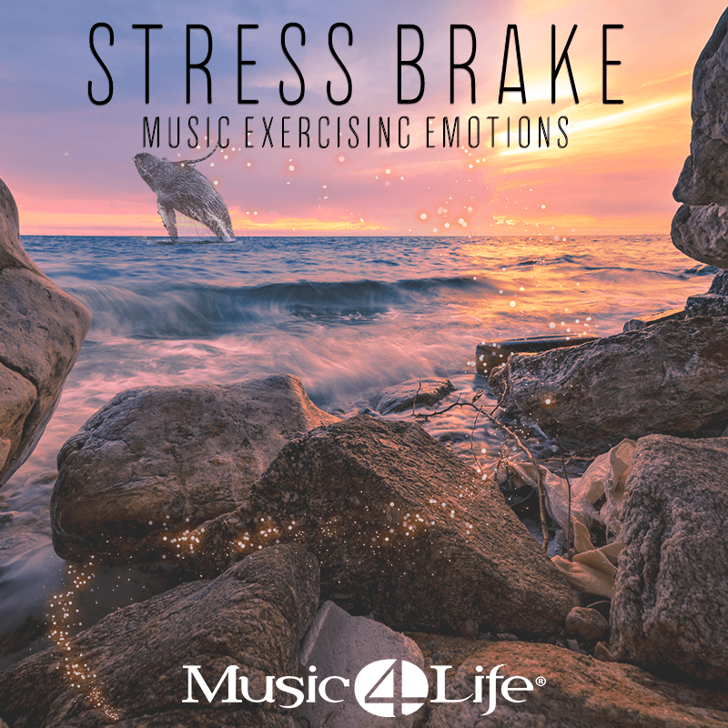 Stress Brake Graphic New